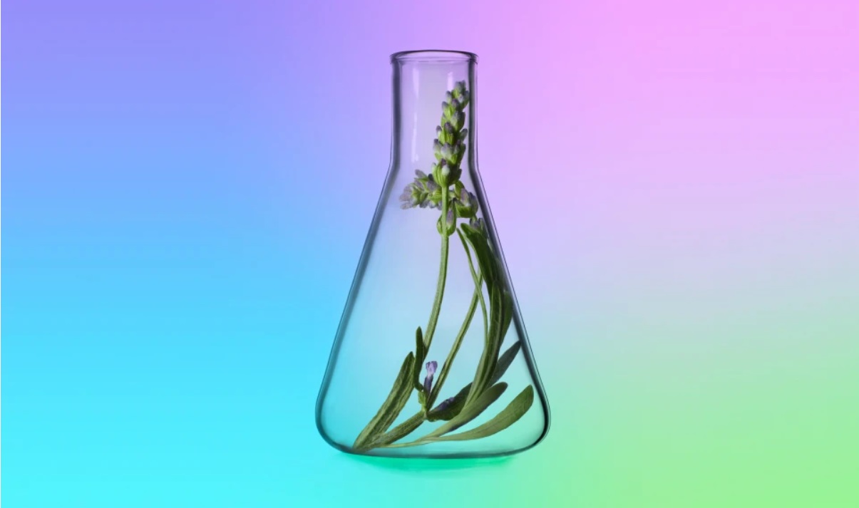 Taking Toxin-Free Personal Care to the Next Level