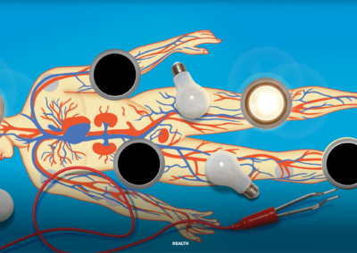 Cell by Cell: Rebuilding the Body