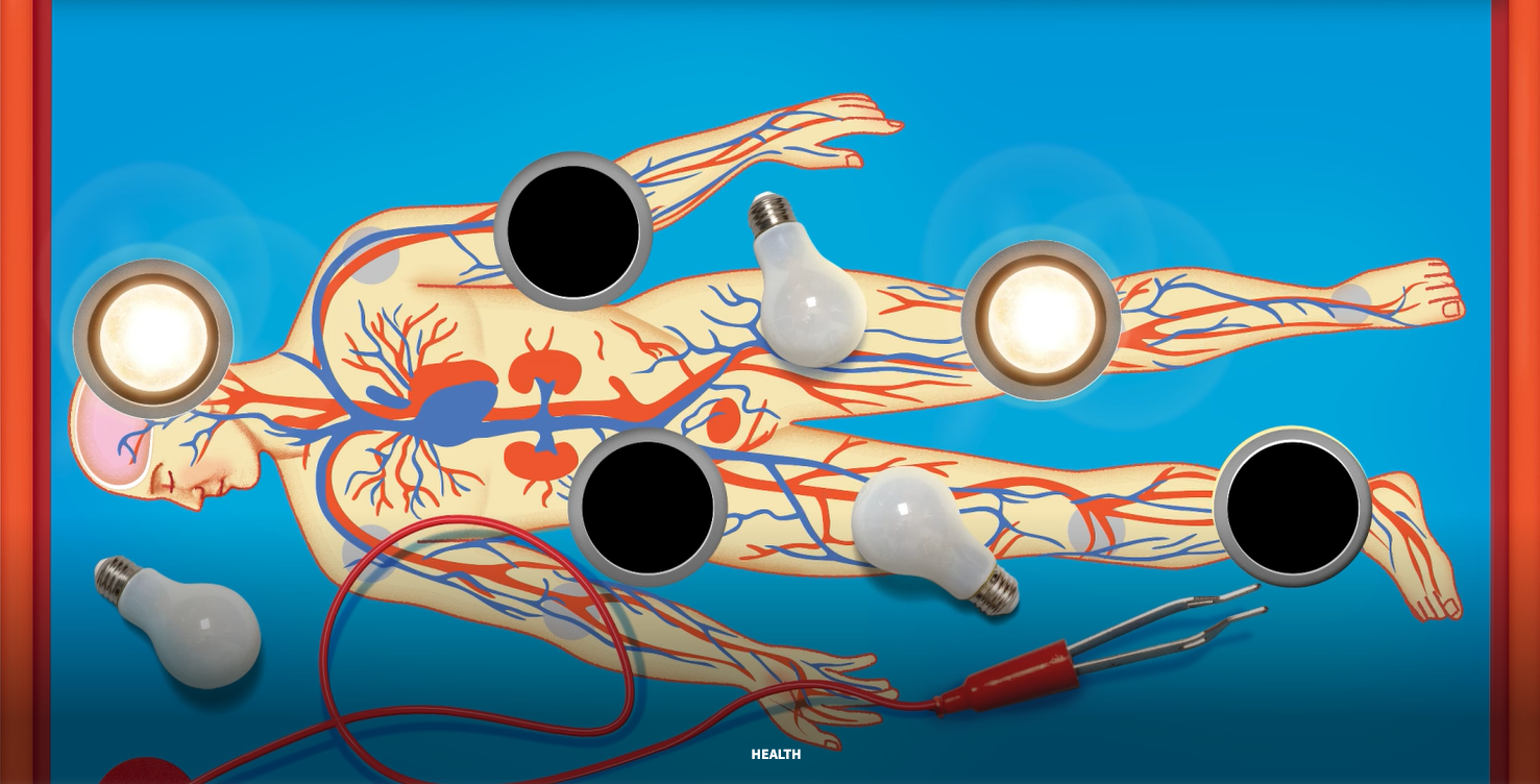 Cell by Cell: Rebuilding the Body